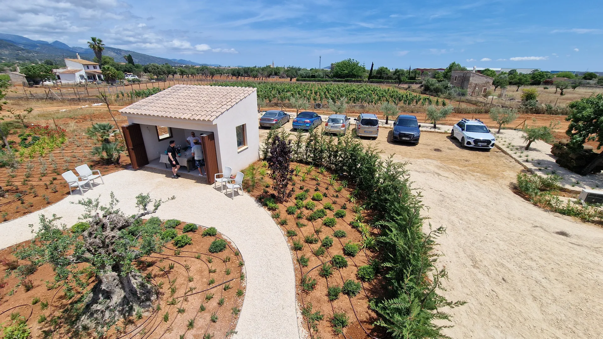 2023 binissalem frd12