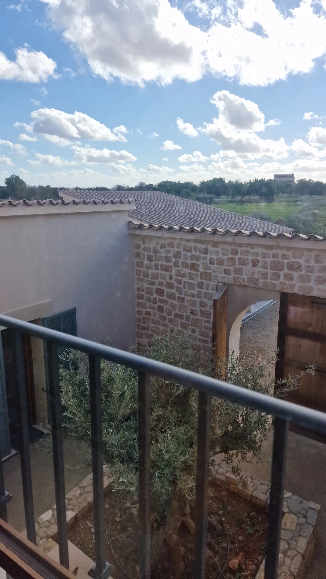 2023 binissalem frd2